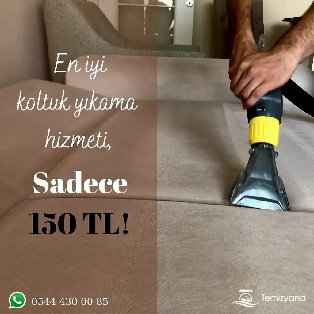 koltuk yıkama